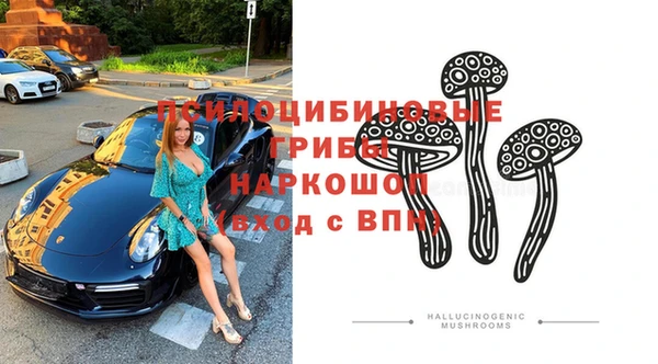 хмурый Балабаново