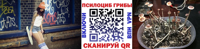 Галлюциногенные грибы MAGIC MUSHROOMS  мориарти как зайти  Новоаннинский 